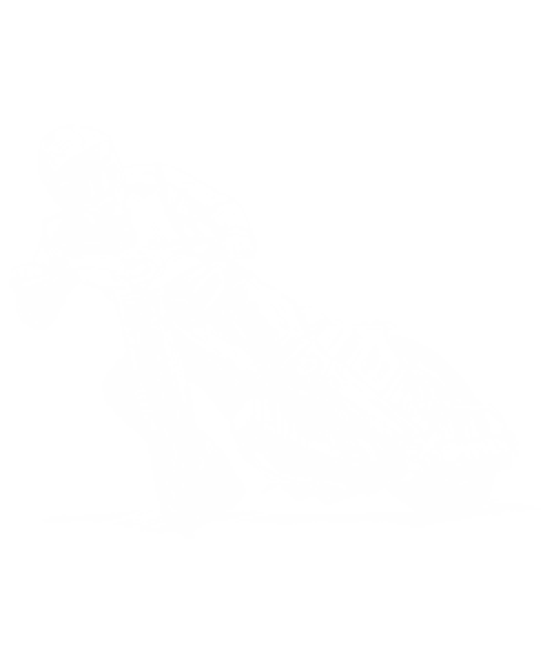 efekty kampanii video